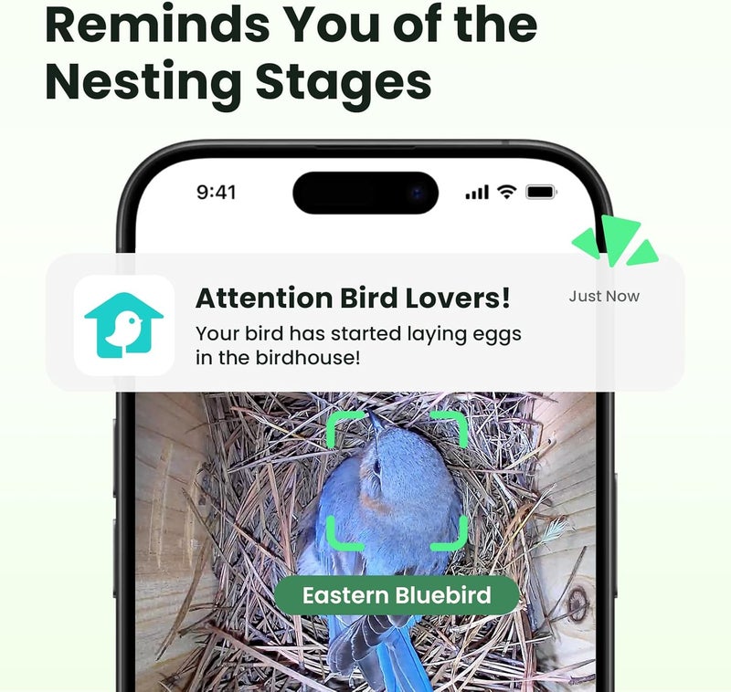 Birdfy Bird House with Camera Inside with Iron Guard, AI Identify & Nest Story, 1080P HD & Night Vision for Bluebird Finch Swallow Wren Chickadee Nesting Watching, Auto Detect & Notify - Image 2